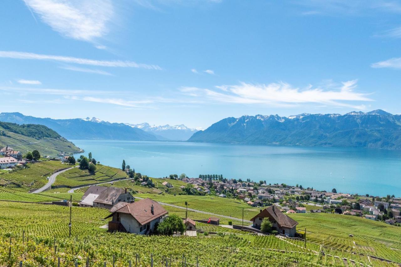 Swiss Luxury Apartments Женева Екстер'єр фото